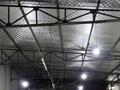 Cho thuê Kho, xưởng DT kho 300m2 ở Hoàng Quốc Việt, Kiến An. 0