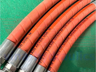 Ống dẫn hơi nước nóng Steam Hose tại Duy Lập 6