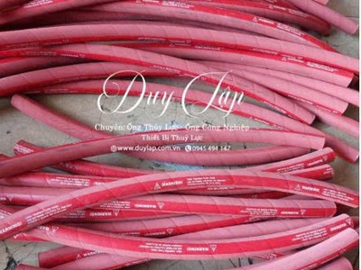 Ống dẫn hơi nước nóng Steam Hose tại Duy Lập 1