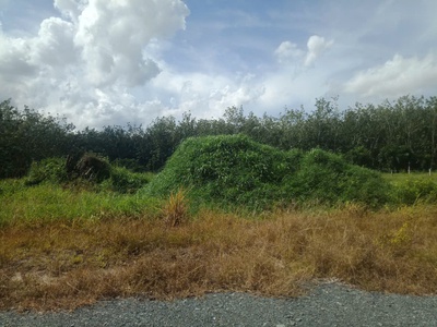 Cần bán 2 công đất chính chủ tại trường xuân, xã trường hòa, hòa thành, tây ninh 0