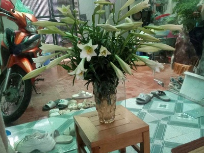 Hàng Hiếm Trung Tâm Tứ Liên - Tây Hồ - 3 bước ra ô tô 3