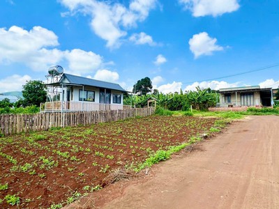 Nam ban-lâm hà dt 5 26m sẵn thổ cư sát địa phận đà lạt 12km view rừng thông chill chill mát mẻ giá 0