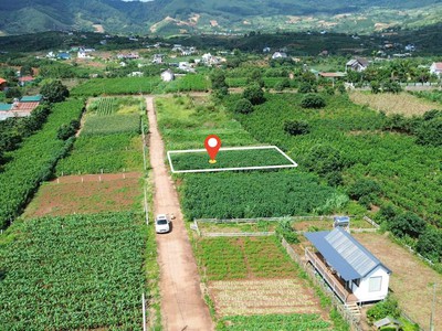 Nam ban-lâm hà dt 5 26m sẵn thổ cư sát địa phận đà lạt 12km view rừng thông chill chill mát mẻ giá 1
