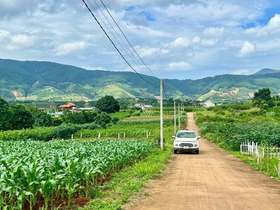 Nam ban-lâm hà dt 5 26m sẵn thổ cư sát địa phận đà lạt 12km view rừng thông chill chill mát mẻ giá 2