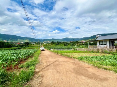 Nam ban-lâm hà dt 5 26m sẵn thổ cư sát địa phận đà lạt 12km view rừng thông chill chill mát mẻ giá 3