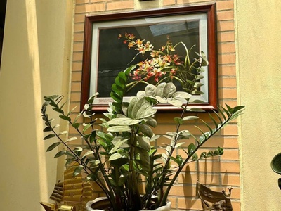 Bán đảo linh đàm- hoàng mai, ô tô vào nhà,185 m2, 4 tầng, mặt tiền 12m, giá 42 tỷ. 3