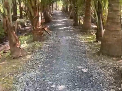 Bán đất vườn đẹp 300m thổ cư 2 đường ra vào huyện vũng liên , tỉnh vĩnh long 1