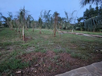 Duy nhất giá chỉ 6tr/m2 sổ hồng full thổ cư mặt tiền ngay cổng b sân bay long thành 3