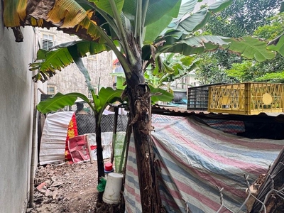 Bán đất khuyến lương 54M VF3 vào đất hoàng mai 1