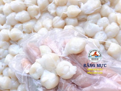 Răng Mực Có Ăn Được Không Những Điều Nhiều Người Thắc Mắc 0