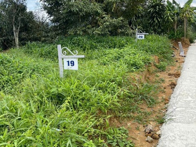 Còn 2 Lô Đất Lộc Nam Giá Từ 5xx Nhanh Tay Chốt Ngay 0