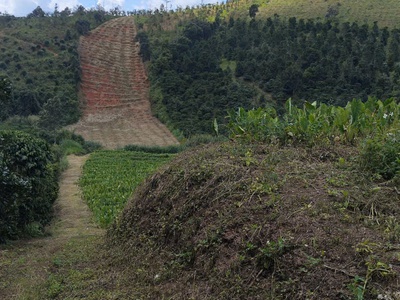 Bán đất ở xã Phú Hội, huyện Đức Trọng, tổng diện tích 8983m2 có 400m2 thổ cư. 4