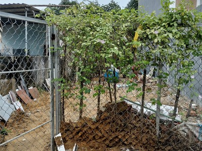 lô đất hiếm kiệt ô tô bình kỳ - 94m2 - chỉ 3,5 tỷ 3