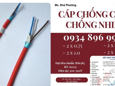 Cáp Điều Khiển Chống Cháy Chống Nhiễu 2 Lõi Chuẩn Bs6387, Iec 60331 Hà Nội 2