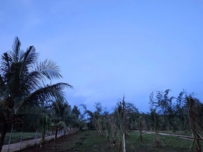 Chỉnh chủ bán siêu phẩm đất đẹp - phù hợp cho mọi gia đình 0