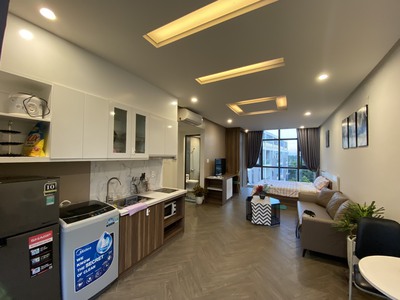Cho thuê căn hộ cao cấp 1 ngủ Studio 35m2 Waterfront City. 5