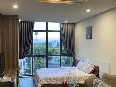 Cho thuê căn hộ cao cấp 1 ngủ Studio 35m2 Waterfront City. 2