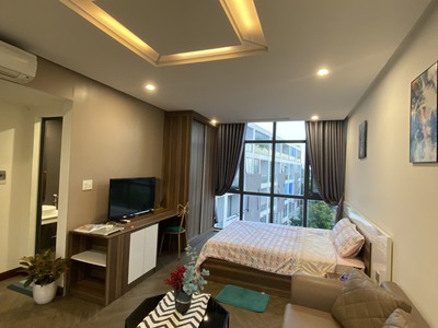 Cho thuê căn hộ cao cấp 1 ngủ Studio 35m2 Waterfront City. 0