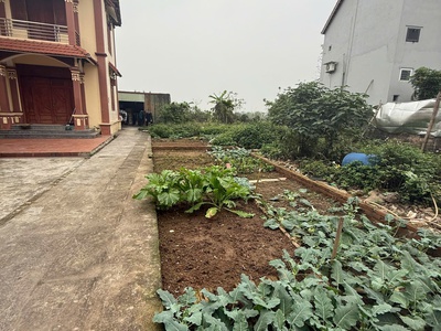 Cần bán 50 m2 đât đặng xá - gia lâm, giá đầu tư, liên hệ 0985865658 2