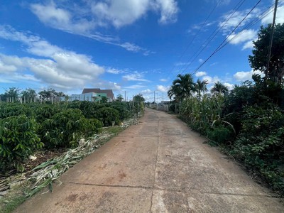 Đất đẹp giá đầu tư - cần bán lô đất tại xã tân hội huyện đức trọng, tỉnh lâm đồng 0