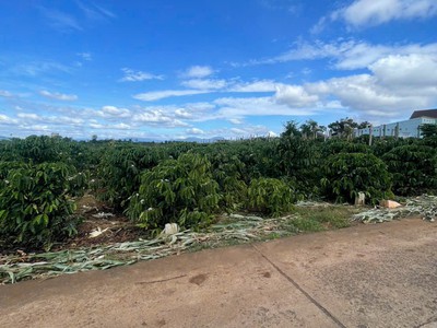 Đất đẹp giá đầu tư - cần bán lô đất tại xã tân hội huyện đức trọng, tỉnh lâm đồng 1