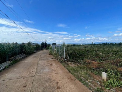 Đất đẹp giá đầu tư - cần bán lô đất tại xã tân hội huyện đức trọng, tỉnh lâm đồng 2