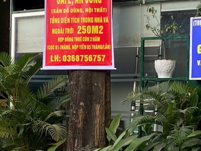 Chính chủ cần sang nhượng gấp quán cafe 250m mặt tiền 8m tại 164 thanh bình, phường mỗ lao, hà 0