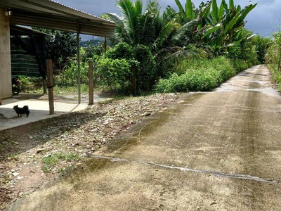 Bán đất tặng nhà cấp 4 có sẵn diện nước tại khánh hoà 1