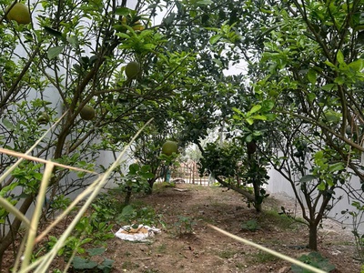 Bán đất cực đẹp oto tránh đồng phố, tân dân phú xuyên 0