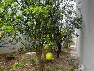 Bán đất cực đẹp oto tránh đồng phố, tân dân phú xuyên 1