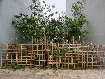 Bán đất cực đẹp oto tránh đồng phố, tân dân phú xuyên 2