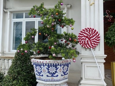 Chậu khảm miểng , khảm họa tiết mosaic 9