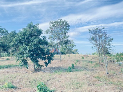 Hẻm đường vào kdl thác Pongour, đức trọng, lâm đồng 1