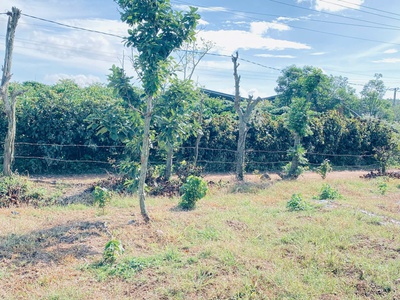 Hẻm đường vào kdl thác Pongour, đức trọng, lâm đồng 3