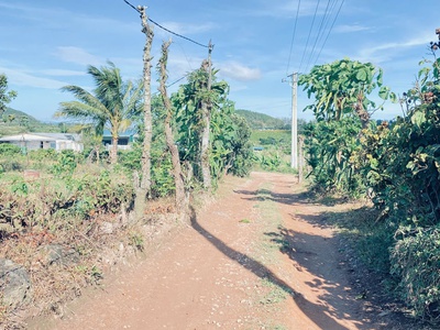 Hẻm đường vào kdl thác Pongour, đức trọng, lâm đồng 4