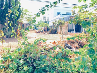 Đất mặt tiền ql20, n thôn hạ, đức trọng cũ, lâm đồng 2