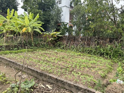 Cần bán 62,9m2 đất Giao Tất A, Xã Thuận An. Đường rộng 2,5m, đang được trải nhựa sạch sẽ 2