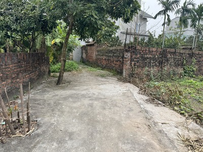 Cần bán 62,9m2 đất Giao Tất A, Xã Thuận An. Đường rộng 2,5m, đang được trải nhựa sạch sẽ 4