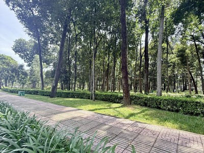 ĐÀO DUY ANH - PHÚ NHUẬN 65M2 - 4 TẦNG, Xe hơi ngủ nhà, cách sân bay, CV Gia Định 1km. 2