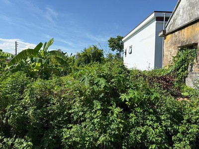 61.6m trung tâm bàng la ô tô đỗ cửa giá chỉ hơn 8xx triệu cửa vốn hiếm zalo 0567 222 555 0