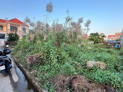 Gửi kho lô 50m Thư Dương - Thư Phú - Thường Tín - Ô tô đỗ cửa - Giá đầu tư nhỉnh 2 tỷ 1