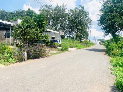 ưu đãi đặc biệt: tặng ngay 20 triệu khi cọc 50 triệu đất thổ cư sát kcn minh hưng 0