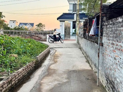 Gửi kho lô 50m Thư Dương - Thư Phú - Thường Tín - Ô tô đỗ cửa - Giá đầu tư nhỉnh 2 tỷ 2