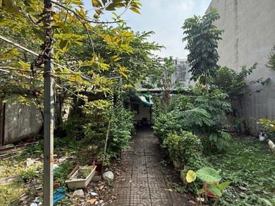 bán đất lớn quậ 7 hẻm ɠuƴễn thị thập 1