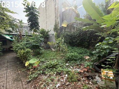 bán đất lớn quậ 7 hẻm ɠuƴễn thị thập 3