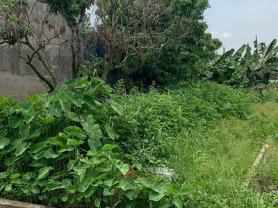 117m 2 mặt ngõ gần tl402 giá 1.7x tỷ lô hiếm khu dân cư zalo 0567 222 555 2