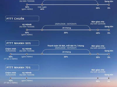 Mở bán toà mỉa tower - dự án regal complex đà nẵng. giảm 100tr cho khách hàng đặt booking sớm 2