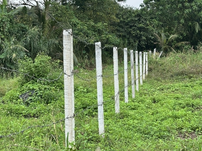 Lô đất cuối cùng ở Sông Nhạn - GIÁ ĐÃ CHẠM ĐÁY 3