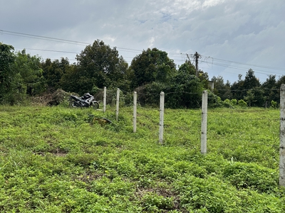 Lô đất cuối cùng ở Sông Nhạn - GIÁ ĐÃ CHẠM ĐÁY 4