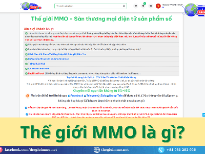 Thế giới MMO cung cấp sản phẩm gì Tất cả trong một nền tảng MMO 1